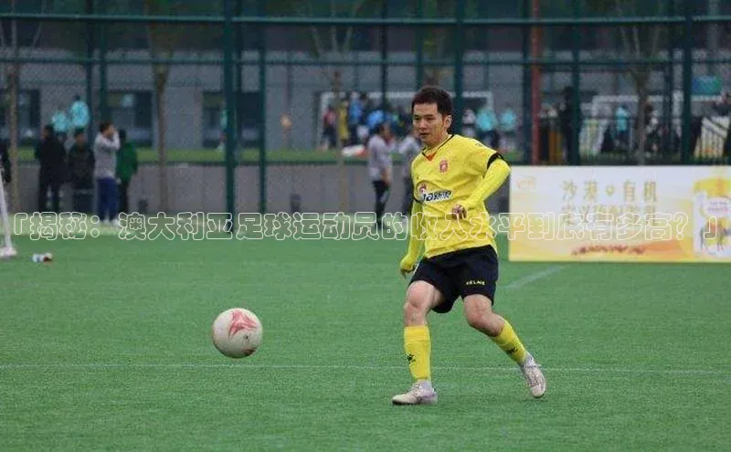 333体育改成3377了吗百度智能门户「揭秘：澳大利亚足球运动员的收入水平到底有多高？」
