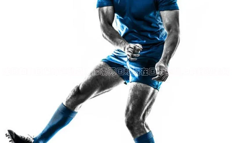 333体育app官方最新版本功能介绍百度取证法国和韩国足球运动员：探索两国球员在国际赛场上的辉煌表现