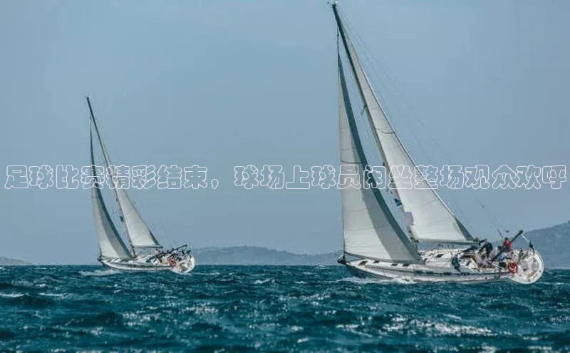 333体育平台app百度搜索资源平台足球比赛精彩结束，球场上球员闲坐整场观众欢呼