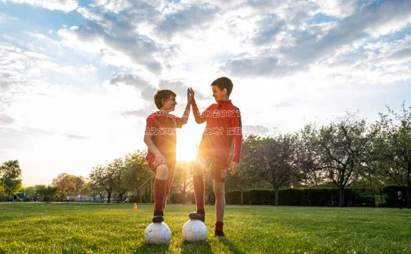 333体育平台App下载百度识图为了符合百度SEO的标准，可以尝试以下标题：

\