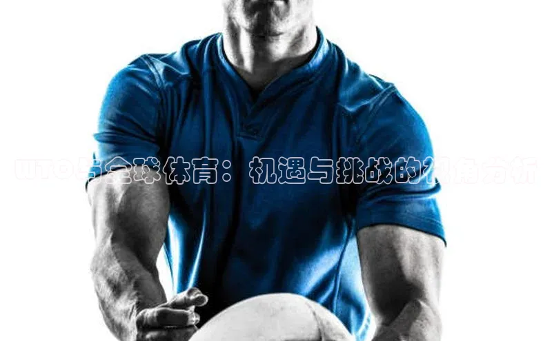 333体育官网app中海达WTO与全球体育：机遇与挑战的视角分析