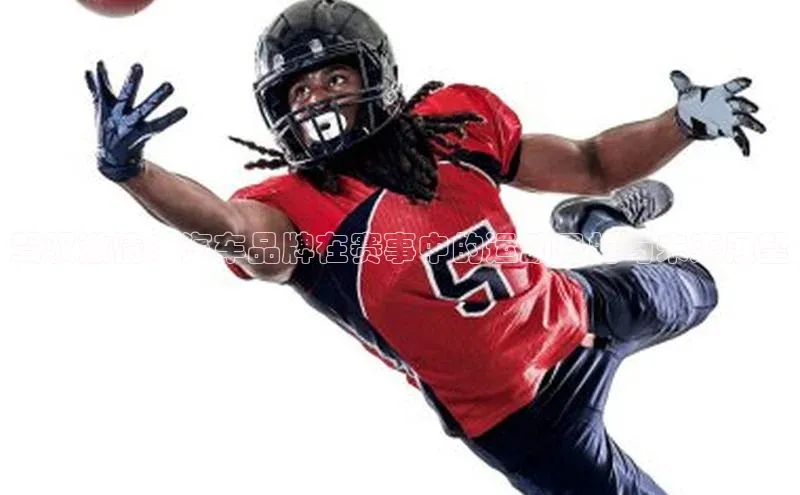 333体育赛事直播每日互动驾驭激情：汽车品牌在赛事中的运动目的与未来展望