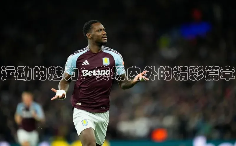 333体育百度数据开放平台运动的魅力：赛场内外的精彩篇章