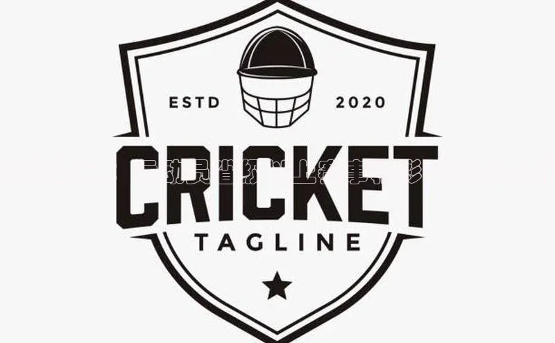 巅峰对决：运动员省级以上赛事精彩回顾与分析