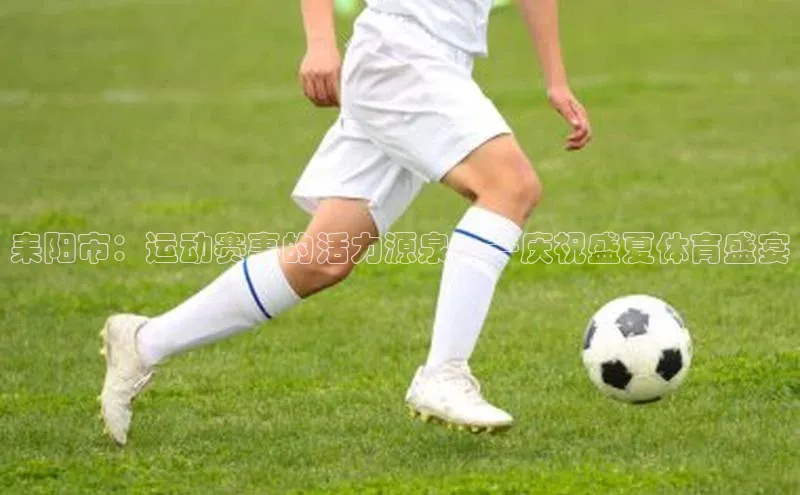 耒阳市：运动赛事的活力源泉——庆祝盛夏体育盛宴