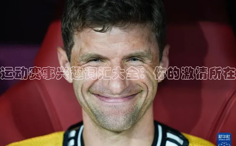 运动赛事兴趣词汇大全：你的激情所在