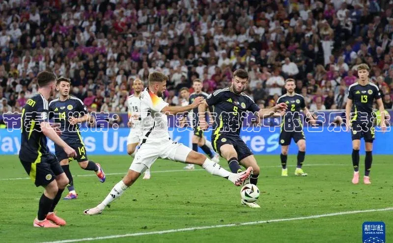 节奏与激情：运动赛事解说中的音乐表达