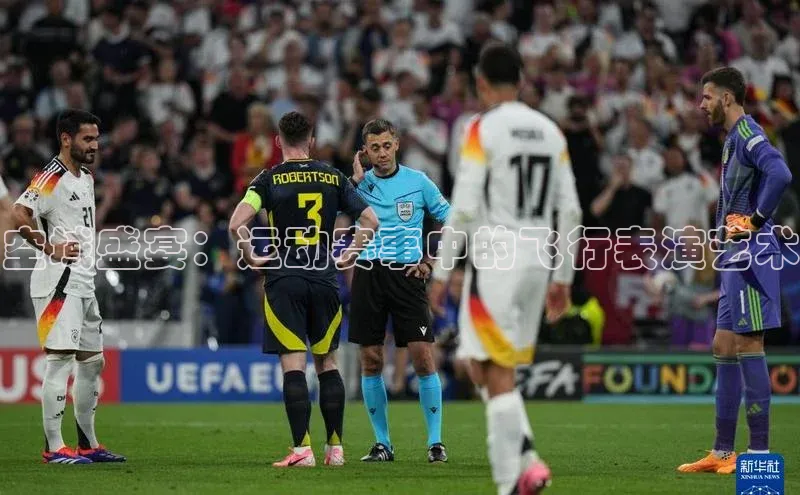 空域盛宴：运动赛事中的飞行表演艺术