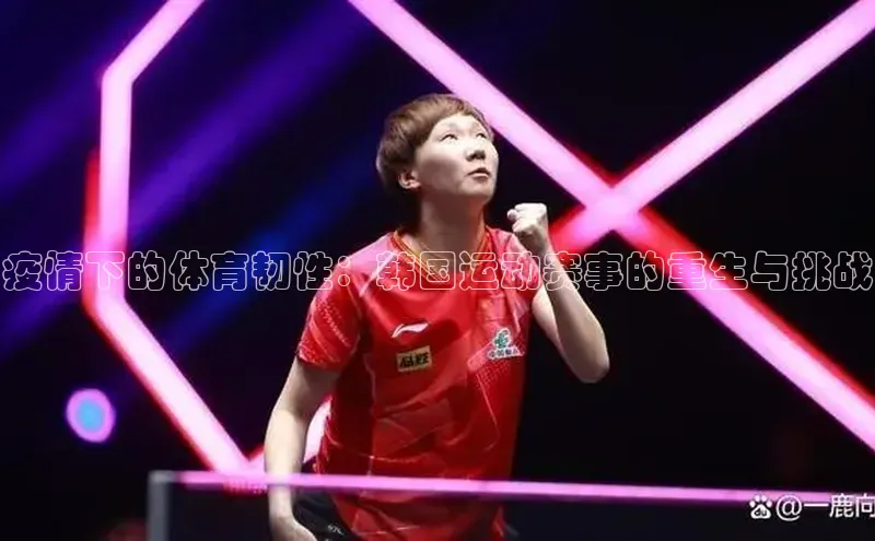 疫情下的体育韧性：韩国运动赛事的重生与挑战