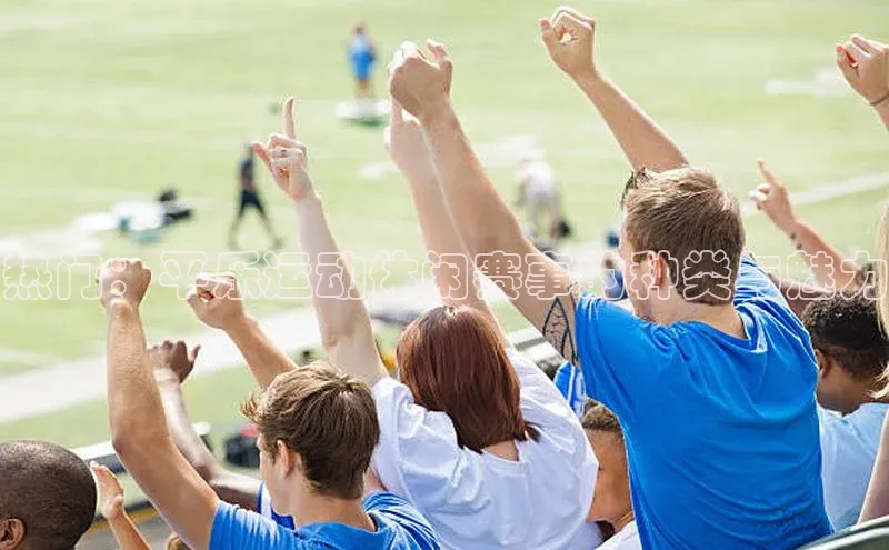 热门：平乐运动休闲赛事的种类与魅力