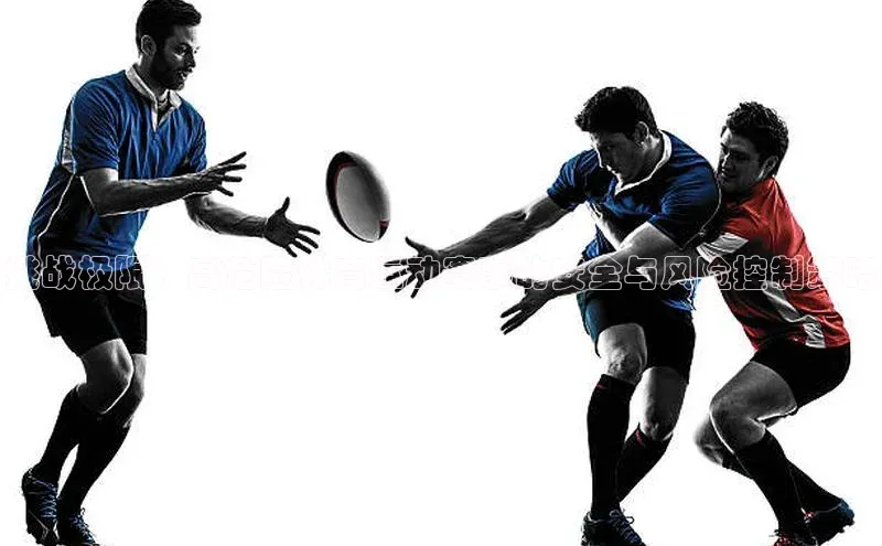 挑战极限：高危险体育运动赛事的安全与风险控制策略