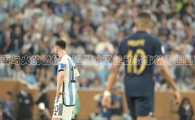 333体育平台App下载