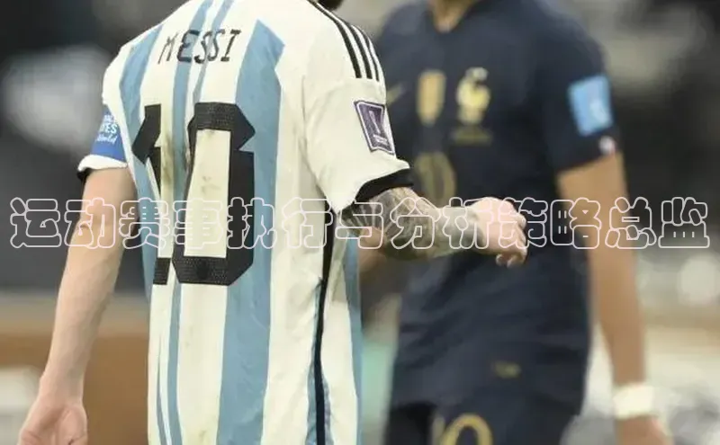 运动赛事执行与分析策略总监