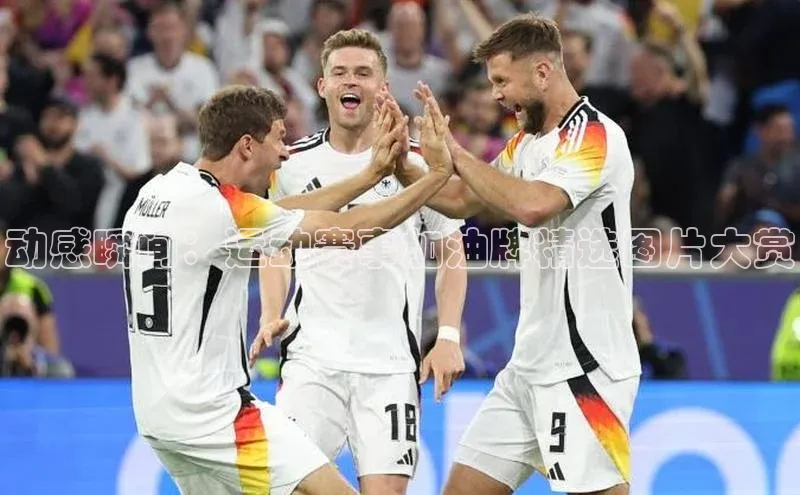 动感瞬间：运动赛事加油牌精选图片大赏