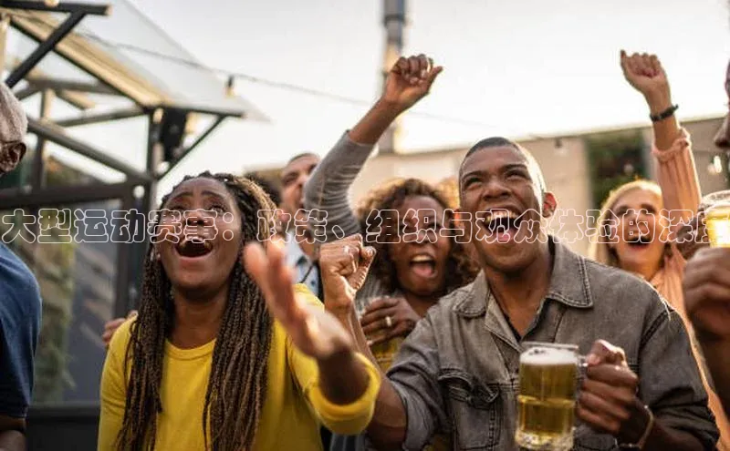 大型运动赛事：政策、组织与观众体验的深度