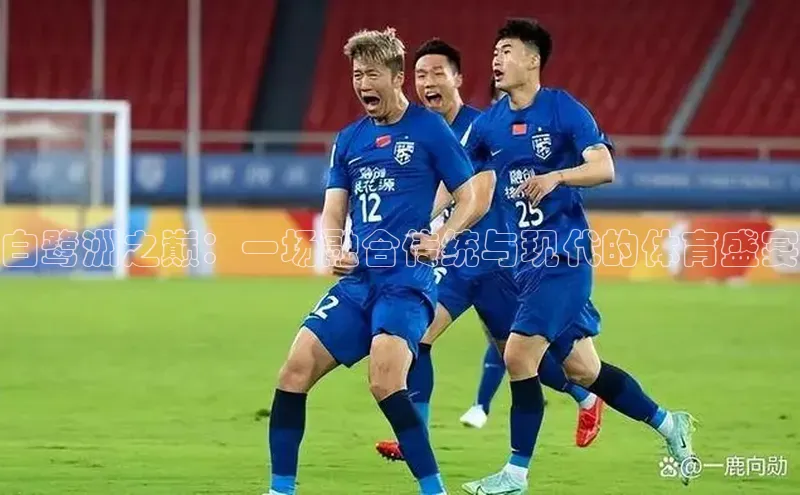 白鹭洲之巅：一场融合传统与现代的体育盛宴