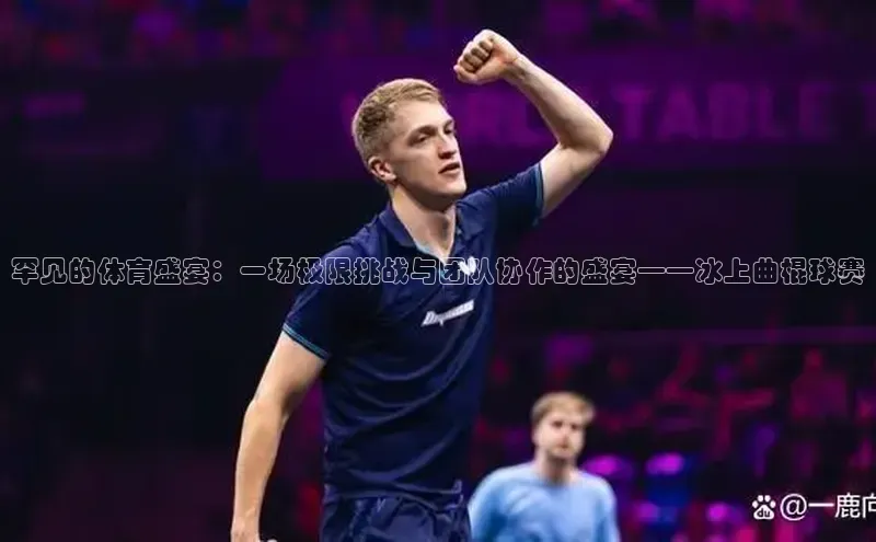 罕见的体育盛宴：一场极限挑战与团队协作的盛宴——冰上曲棍球赛