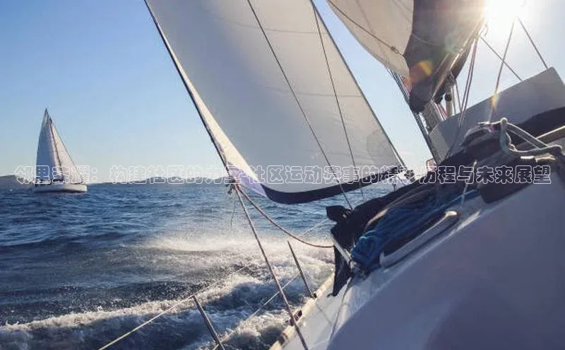 邻里荣耀：构建社区的力量-社区运动赛事的精彩历程与未来展望