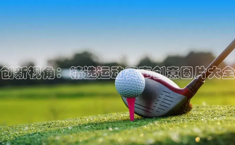 333体育平台网页版