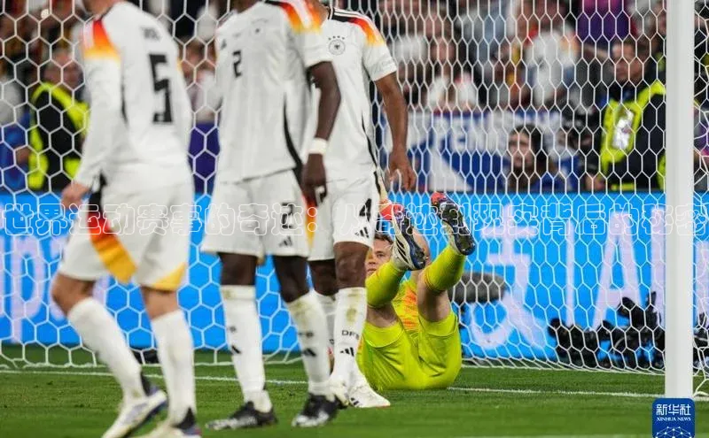 3377体育官方网站