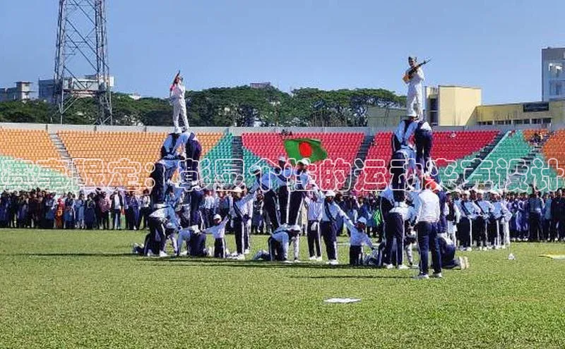 333体育赛事直播