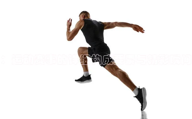 ：运动赛事的详细构成要素与精彩瞬间