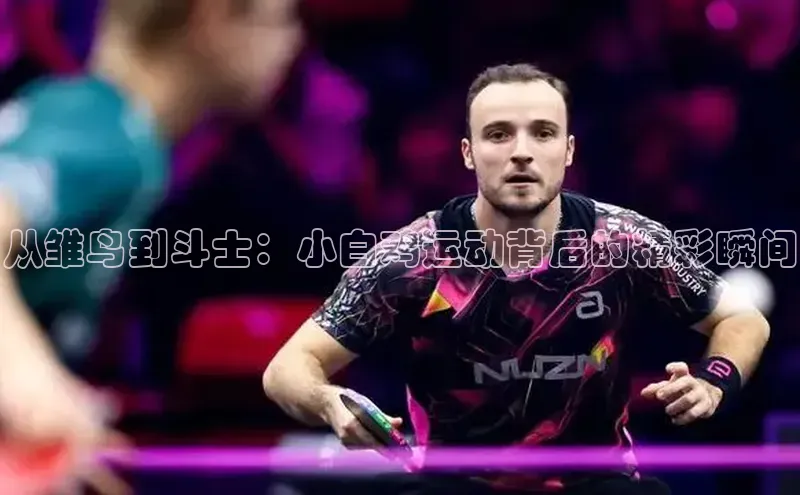 从雏鸟到斗士：小白鸡运动背后的精彩瞬间