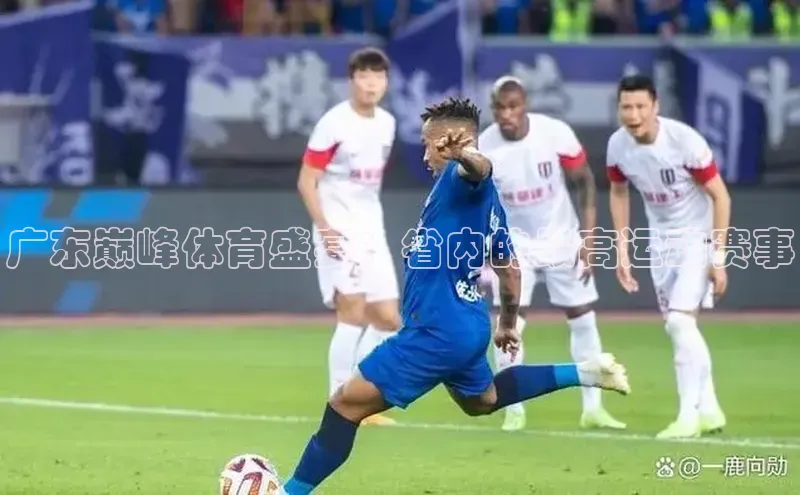 广东巅峰体育盛宴：省内的最高运动赛事