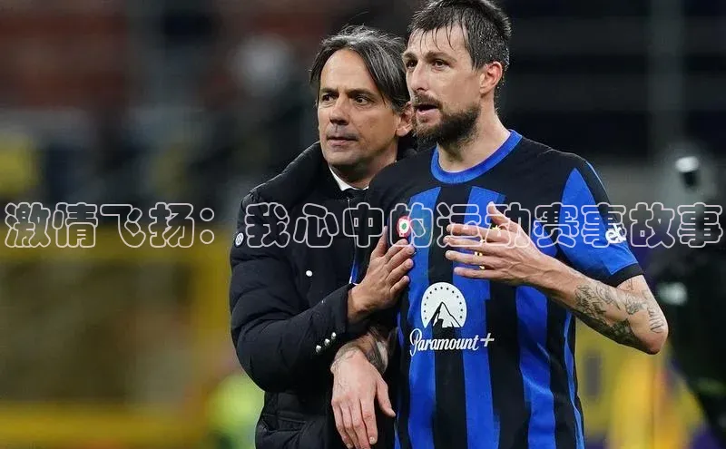 333体育平台App下载安卓手机下载