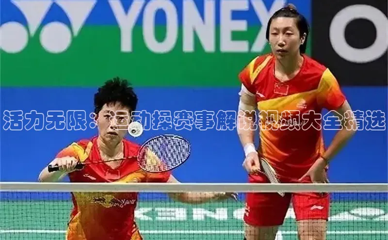 333体育官网入口